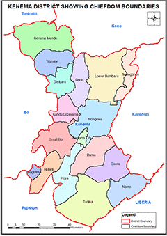 Kenema District Map