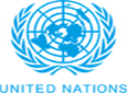 The UN Country Team Logo